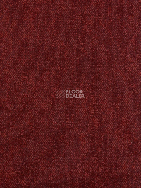 Ковролин Haima Coral 36 фото 1 | FLOORDEALER